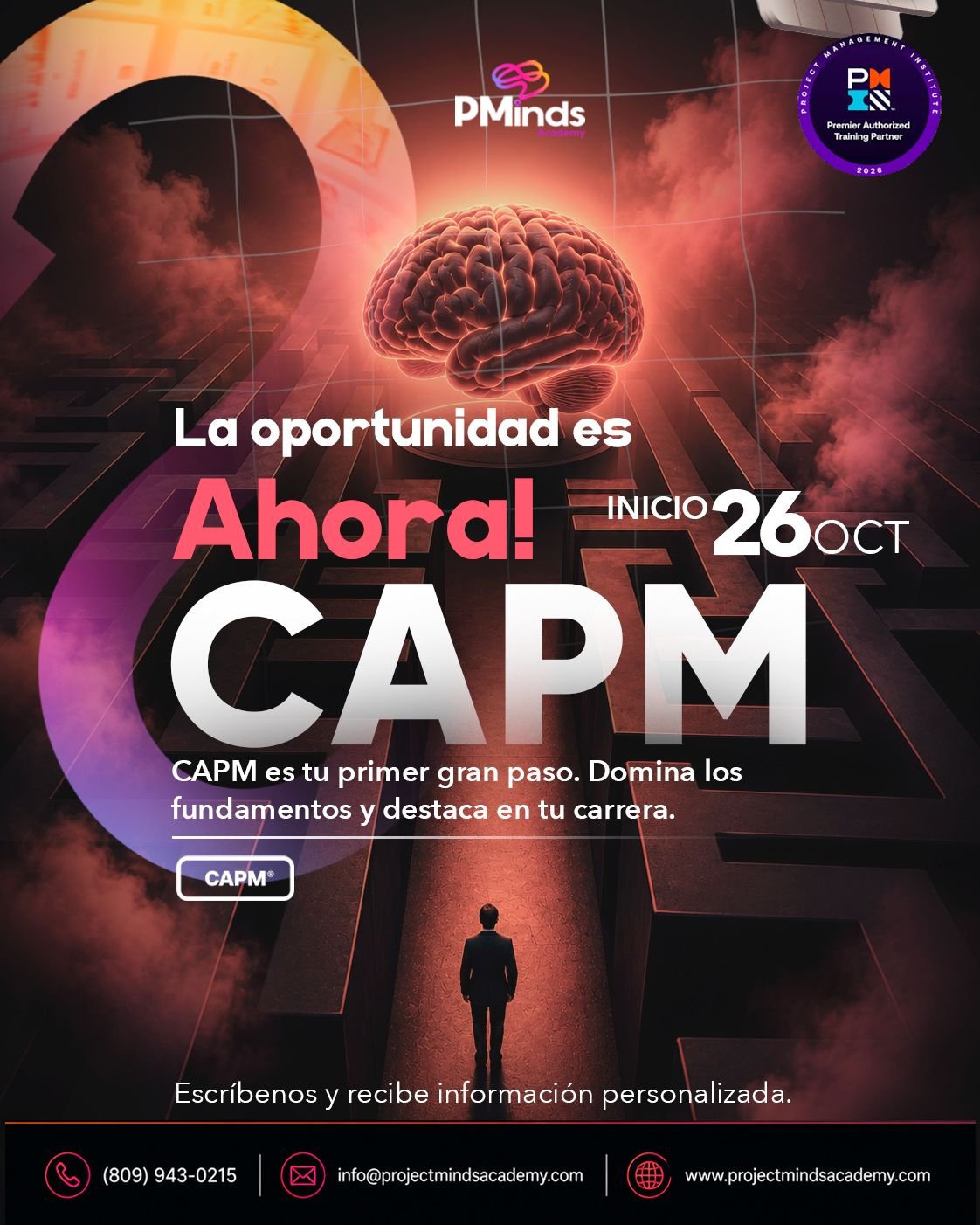 Gestión Profesional de Proyectos, Preparación Certificación CAPM